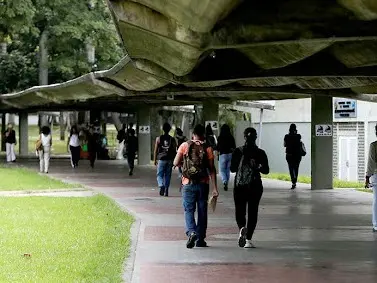 Cortesía