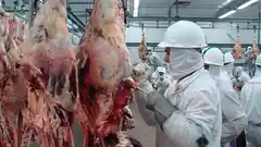 Carne: por las restricciones cayó el ingreso de divisas 15,2 %