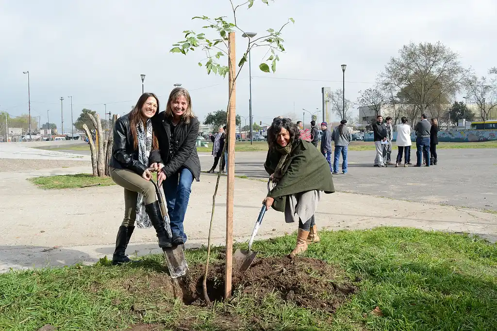 Se realizó el primer maratón de plantaciones de árboles en toda la ciudad
