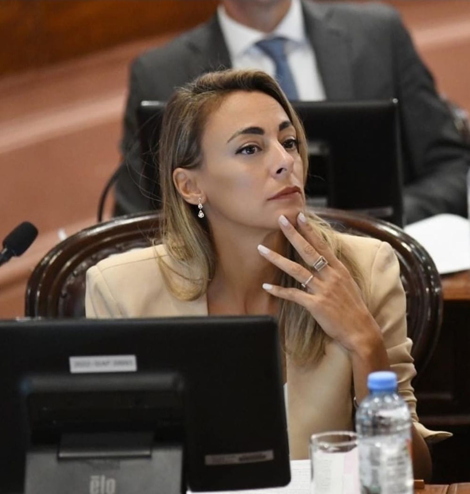 La diputada provincial Lorena Arrozogaray no acompañó la Ley de Fitosanitarios: los motivos