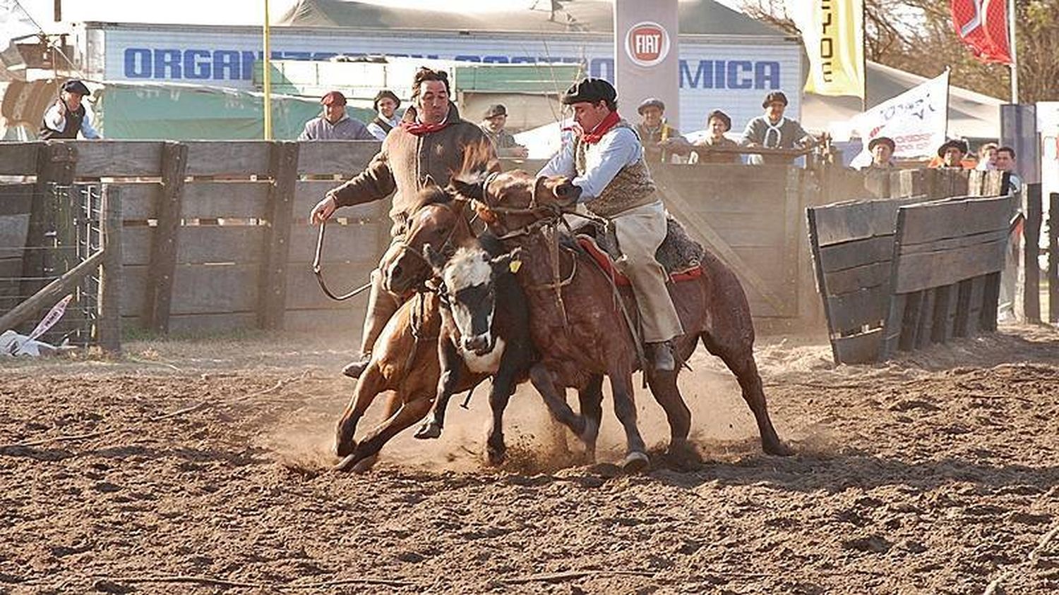 Expo Rodeo