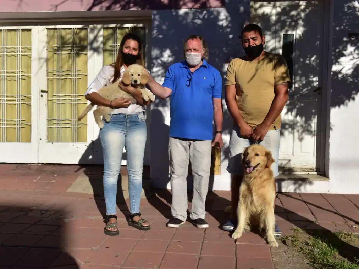 Incorporarán a la Justicia perros  para asistir a niños que sufrieron abusos 