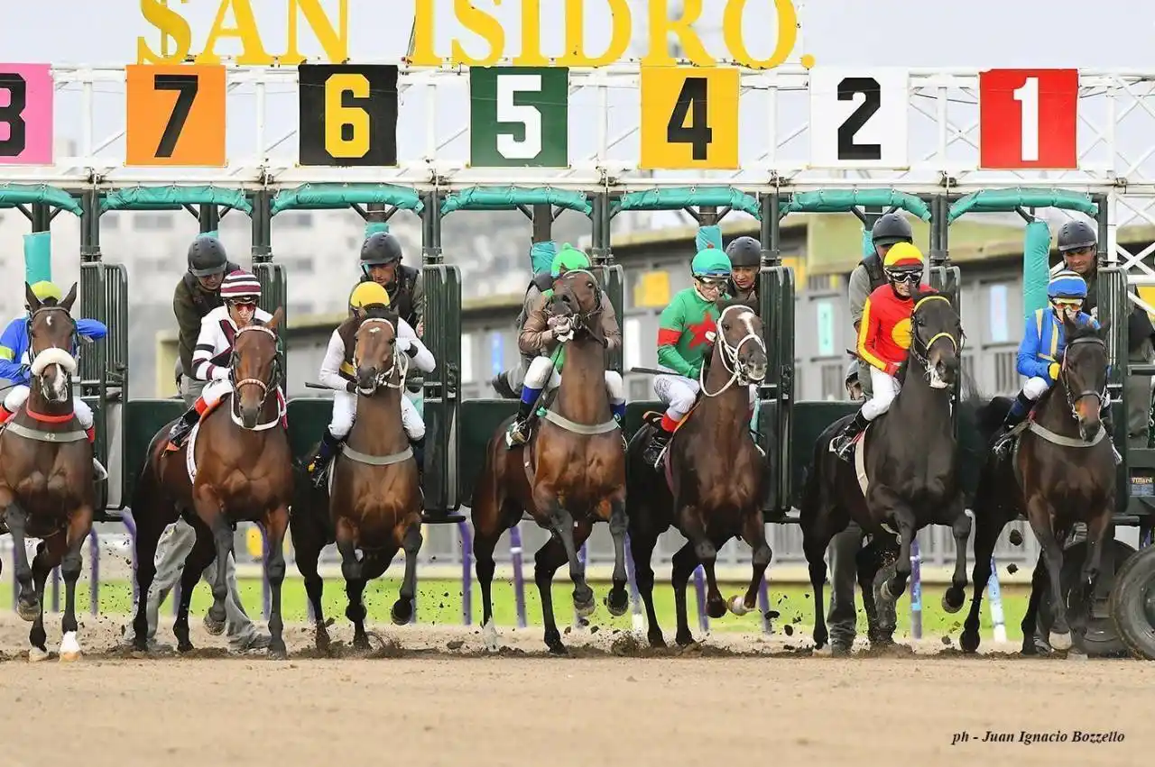 Viernes 6: Actividad en el Hipódromo de San Isidro