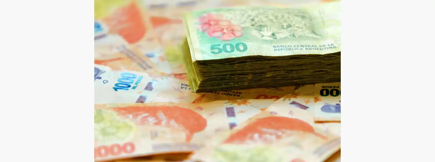 Sebastián Menescaldi: “No aplicar un plan estabilizador es perder una oportunidad”