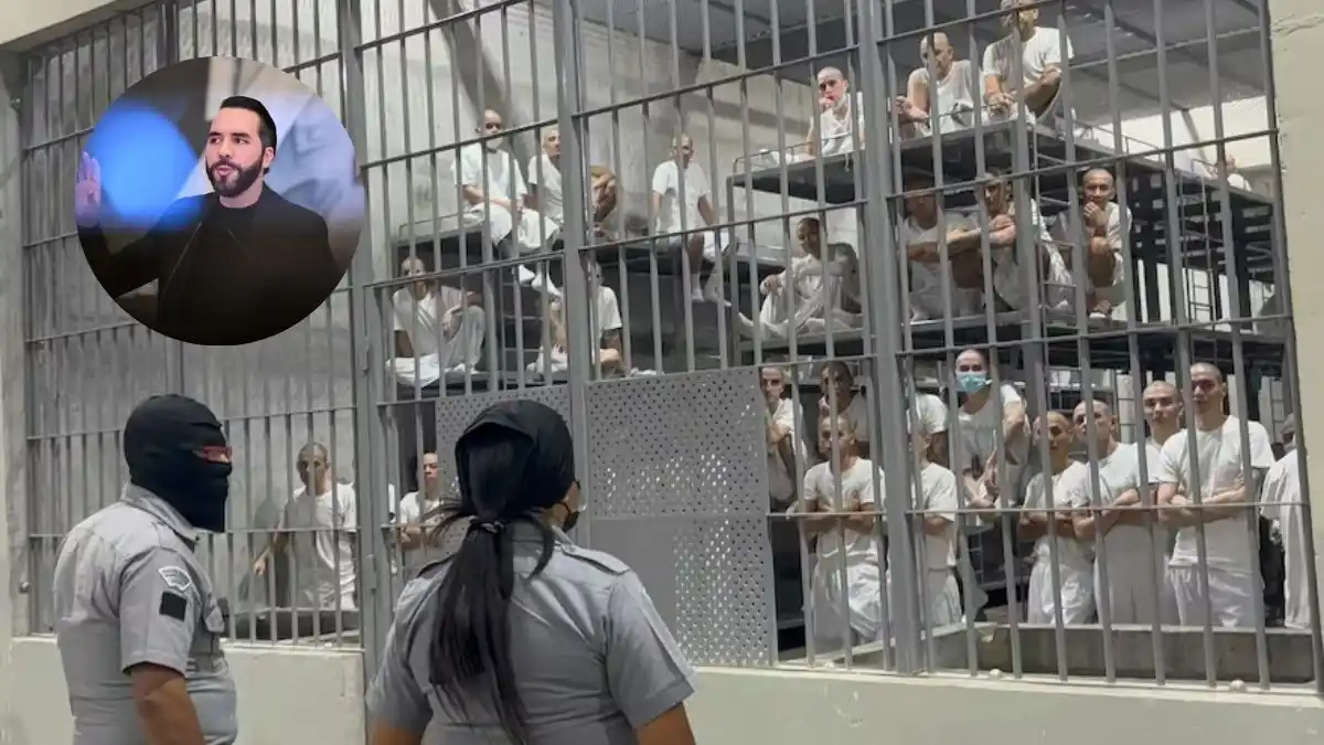 Congresista pide que saquen a PATADAS AL TREN DE ARAGUA DE EE.UU.: “Si no los acepta Caracas, los va a recibir Bukele” (+Video)