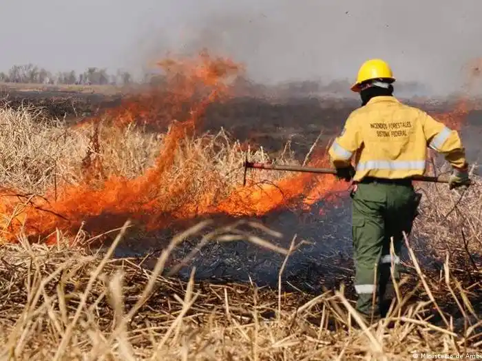 En Paraná realizarán hoy  una caravana para  protestar contra los  incendios en la provincia