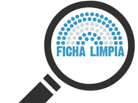 Ficha Limpia: el Senado fue convocado para el próximo miércoles a una sesión especial