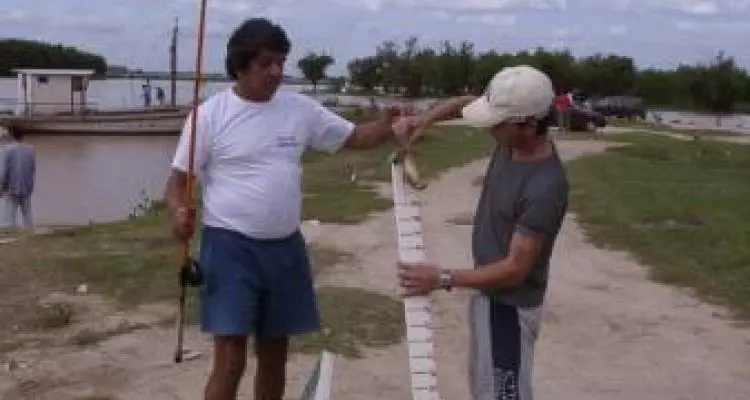 Vuelve la Fiesta de los Pescadores
