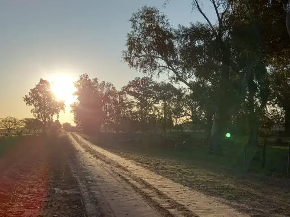 El Departamento Garay registra el mayor porcentaje de extranjerización de tierras rurales en la provincia de Santa Fe, con el 15,73% de su superficie (unas 61.629 hectáreas) en manos foráneas, superando el límite legal establecido. Foto: Tierras Sanatfesinas