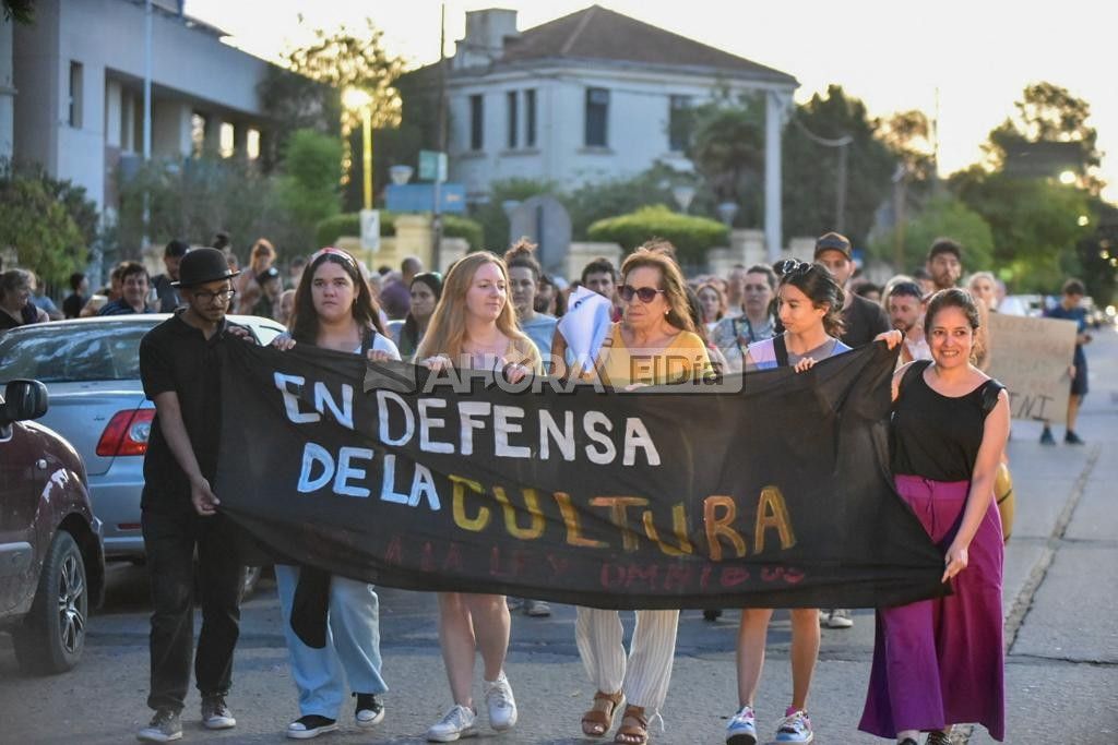 artistas protestan contra el dnu y ley omnibus de milei - 4