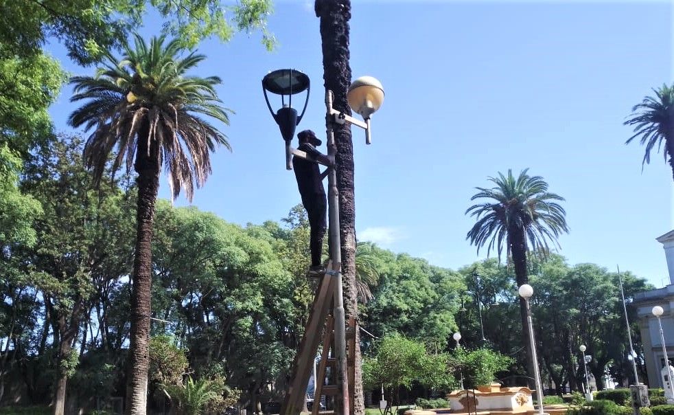 Cambian luminarias en plaza Constitución: dispondrán 30 farolas nuevas