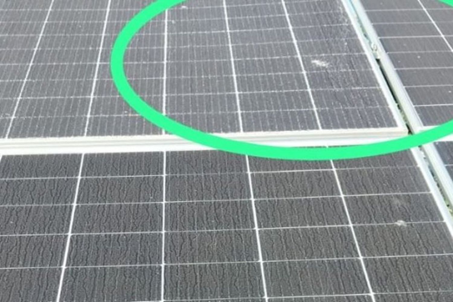 Indignación: vandalizaron el parque fotovoltaico de CoopMorteros