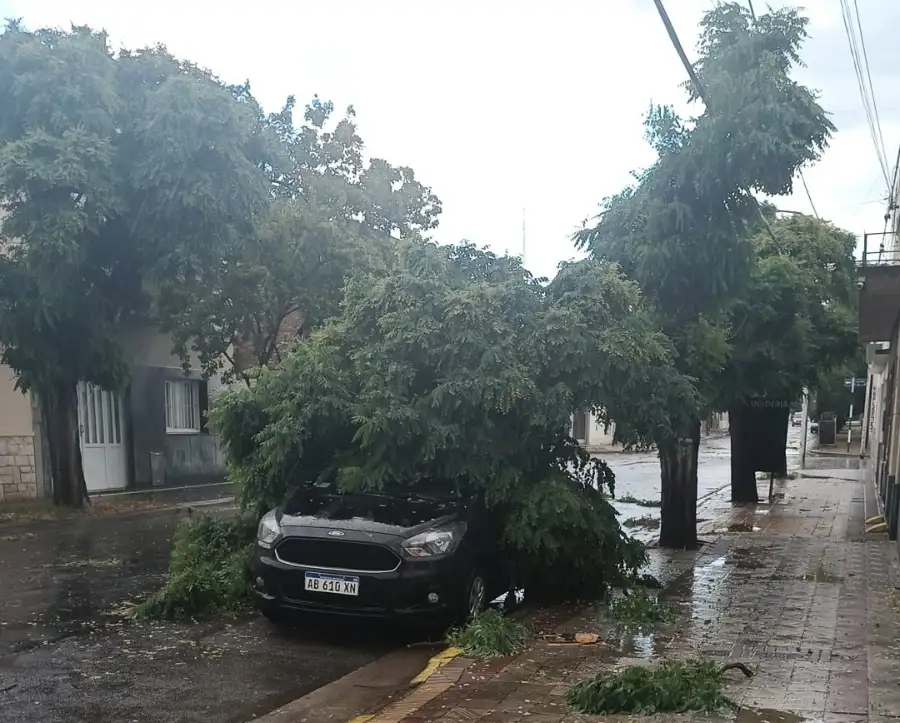 Los daños que ocasionó el temporal en la ciudad fueron de gran magnitud