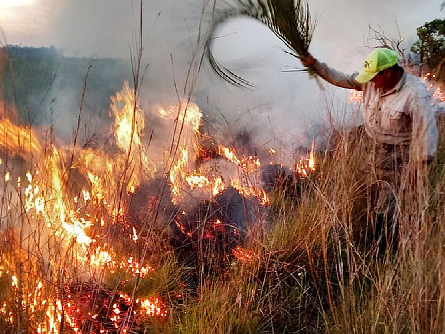 Incendios en Corrientes: todavía hay 20 focos activos y la situación es muy crítica