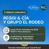 Más de 14 mil cabezas confirmadas para el gran remate ganadero del Grupo El Rodeo y Reggi & Cia,