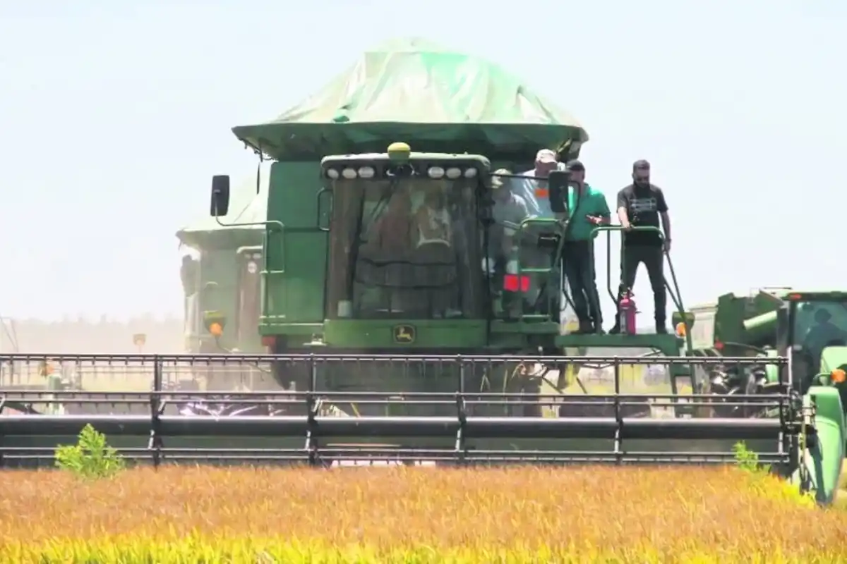 El gobierno Argentino ha oficializado la eliminación de las retenciones para una serie de productos de las economías regionales, incluyendo el maní, el arroz