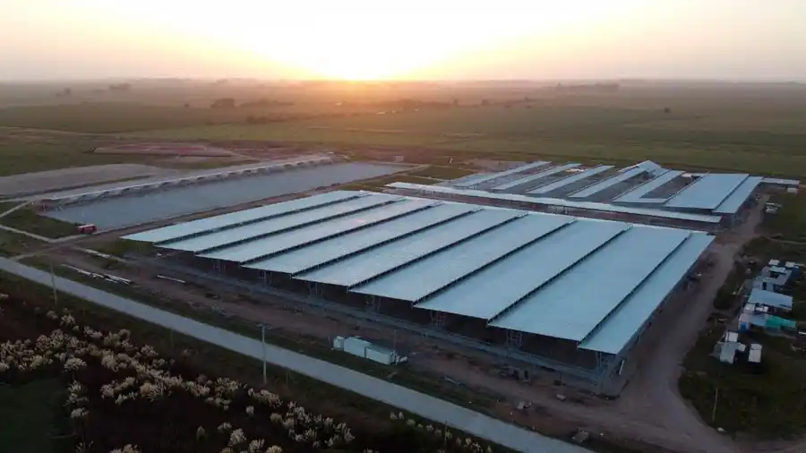 Cerró Liniers: Este martes 17 comienza a funcionar el nuevo mercado agroganadero de Cañuelas