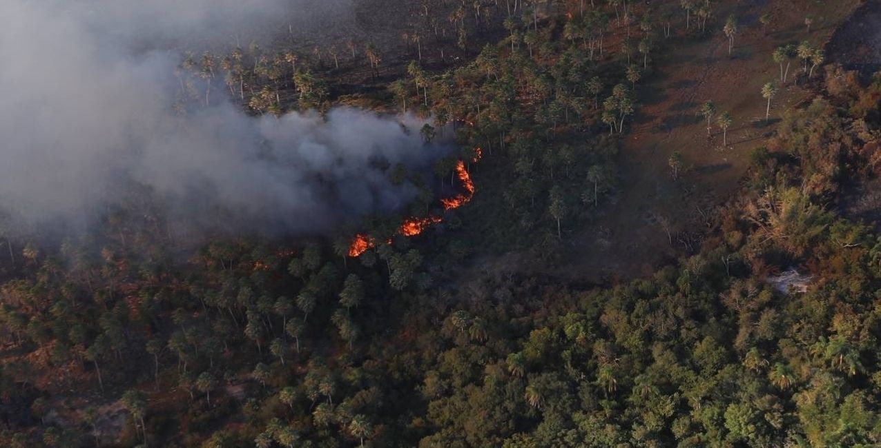 Se quemaron más de un millón de hectáreas en Corrientes