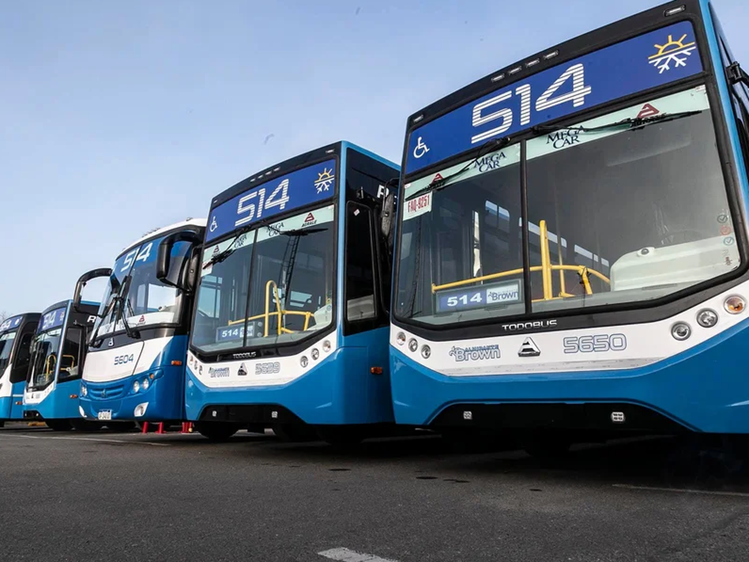 Paro colectivos DOTA desde las 00 del 17 de marzo: Afecta al menos a 80 líneas del área metropolitana