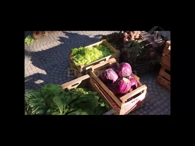 Pérdidas por la lluvia en el sector frutohortícola