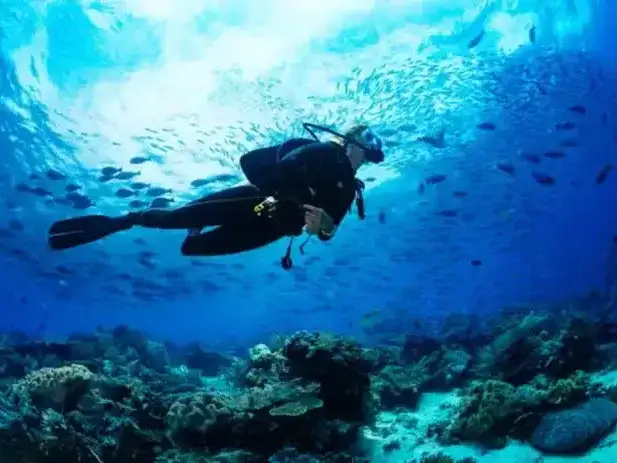 Puerto Madryn: intensa búsqueda de una turista que desapareció durante una práctica de buceo