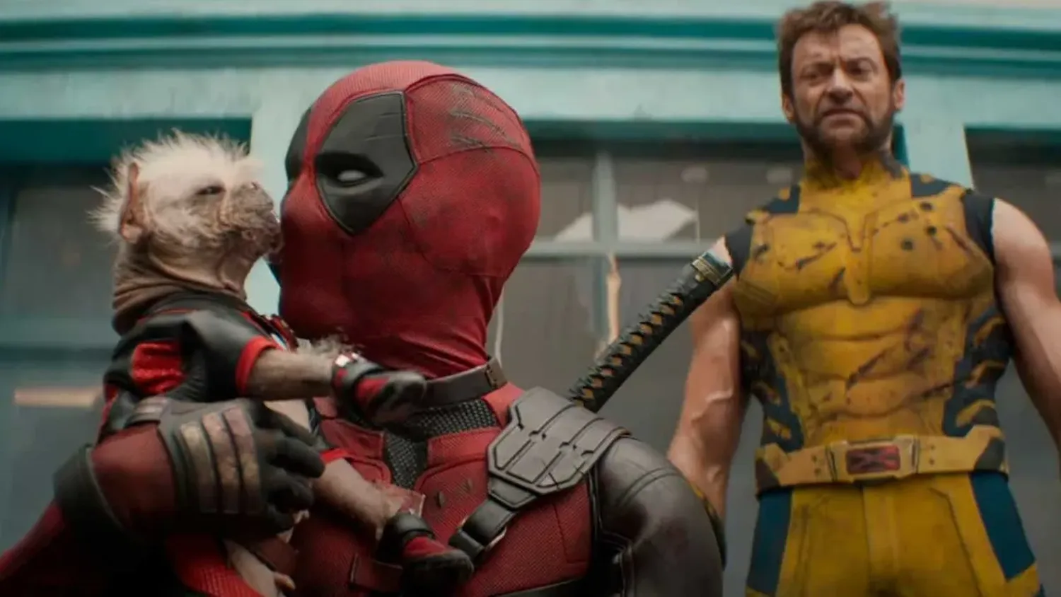 Imagen de la película