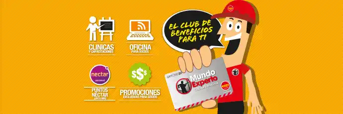 RSE: Cursos gratuitos en Easy