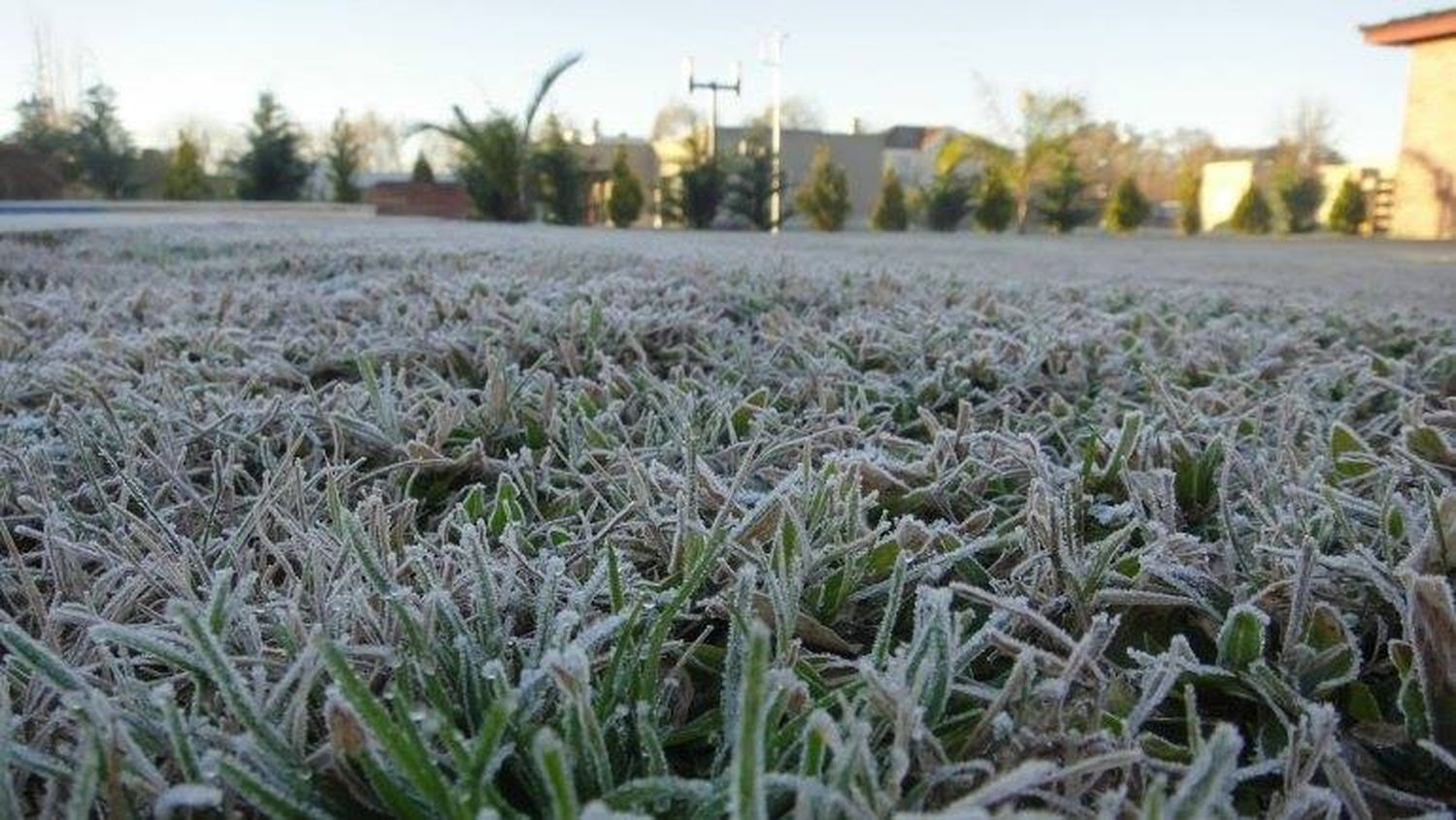 Llegó la ola polar a Gualeguay