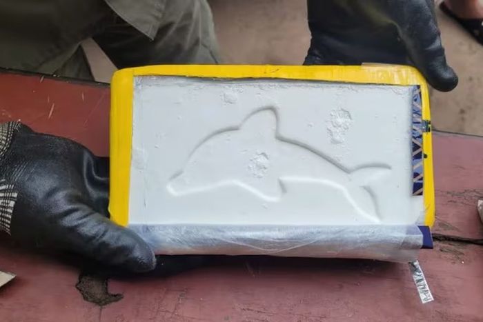 Los ladrillos amarillos tenían la marca del delfín