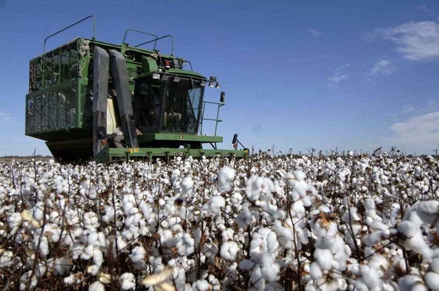 Las lluvias retrasaron la cosecha en el centro norte santafesino