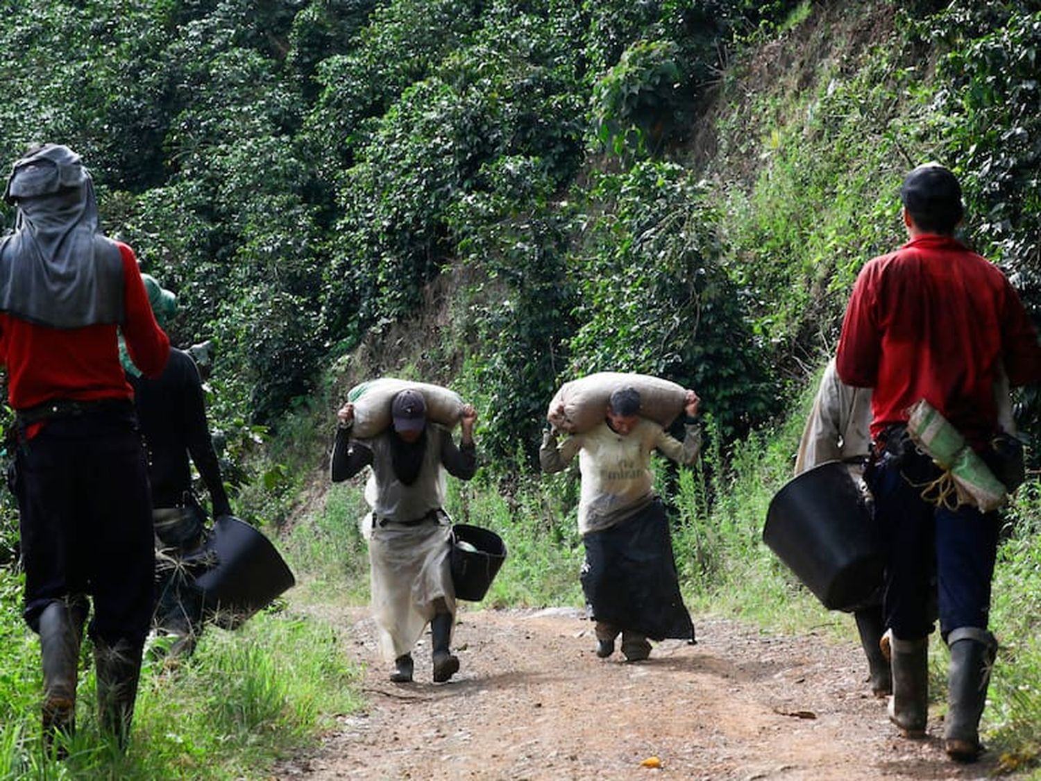 ONU: 10.000 personas en Bolívar, Colombia atrapadas por la restricción de MOVIMIENTO DE GRUPOS ARMADOS