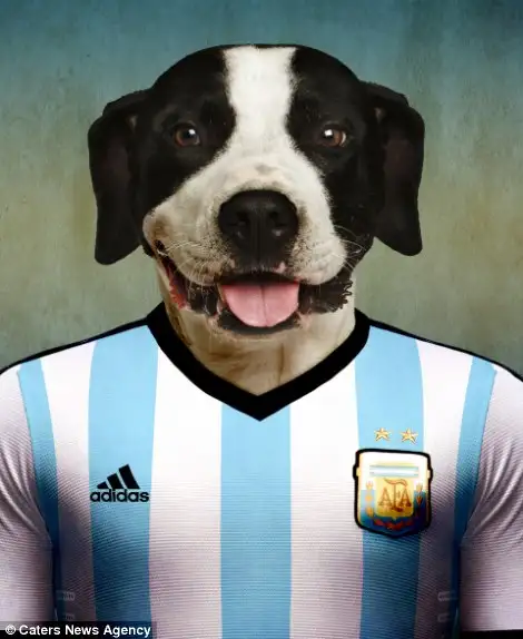 El dogo argentino en el Mundial