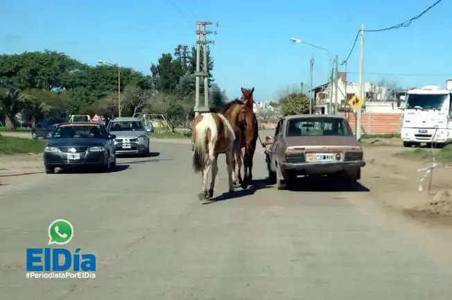 #PeriodistaPorElDía: arrea un par de caballos desde su Renault 12 