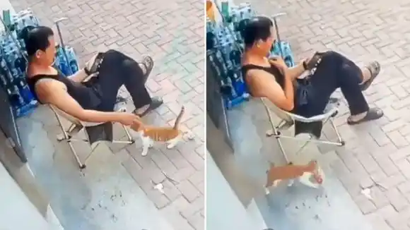 El Gato con botas versión callejera: engañó con caricias y se fue con botín