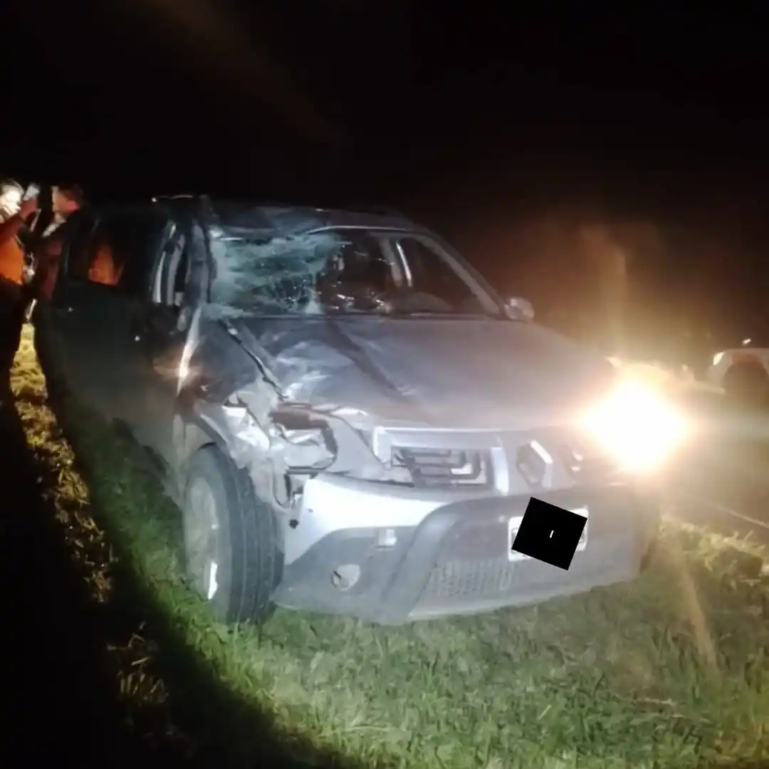 Accidente en Ruta 16: vehículo impactó contra un equino