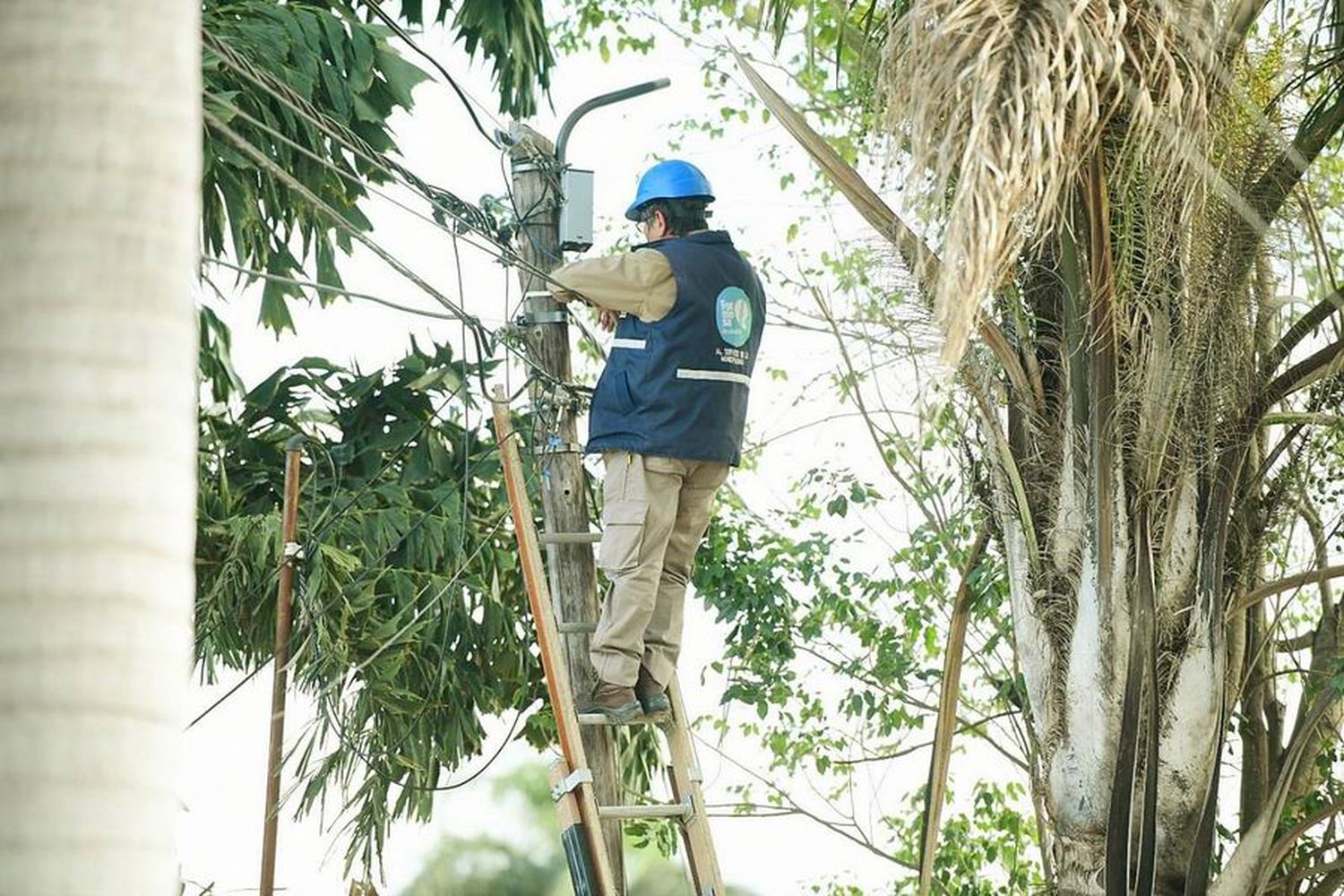 Tareas integrales en los barrios 
Cono Sur, Colluccio y 17 de Octubre