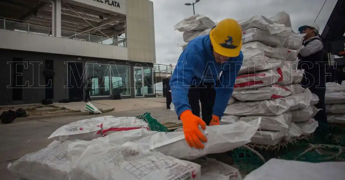 Llega una nueva empresa al Puerto: aportará 100 fuentes de empleo