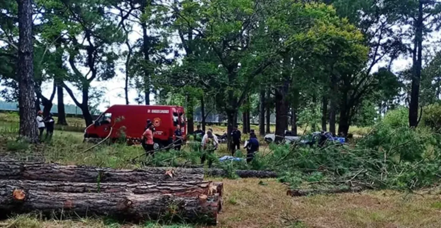 Trágico accidente laboral: murió un operario cuando podaba árboles