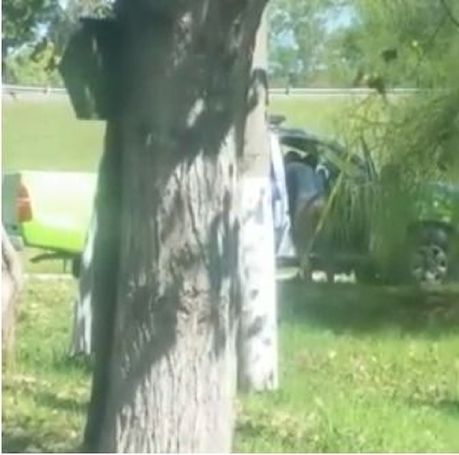 Filmaron a dos policías haciendo una orgía en un patrullero