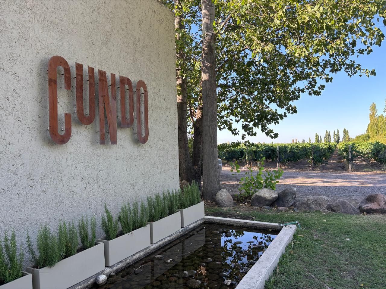 Cundo