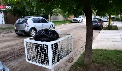 Feriado del 8 de diciembre: así funcionarán los servicios municipales