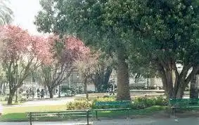 Piden la creación de un lugar de esparcimiento
