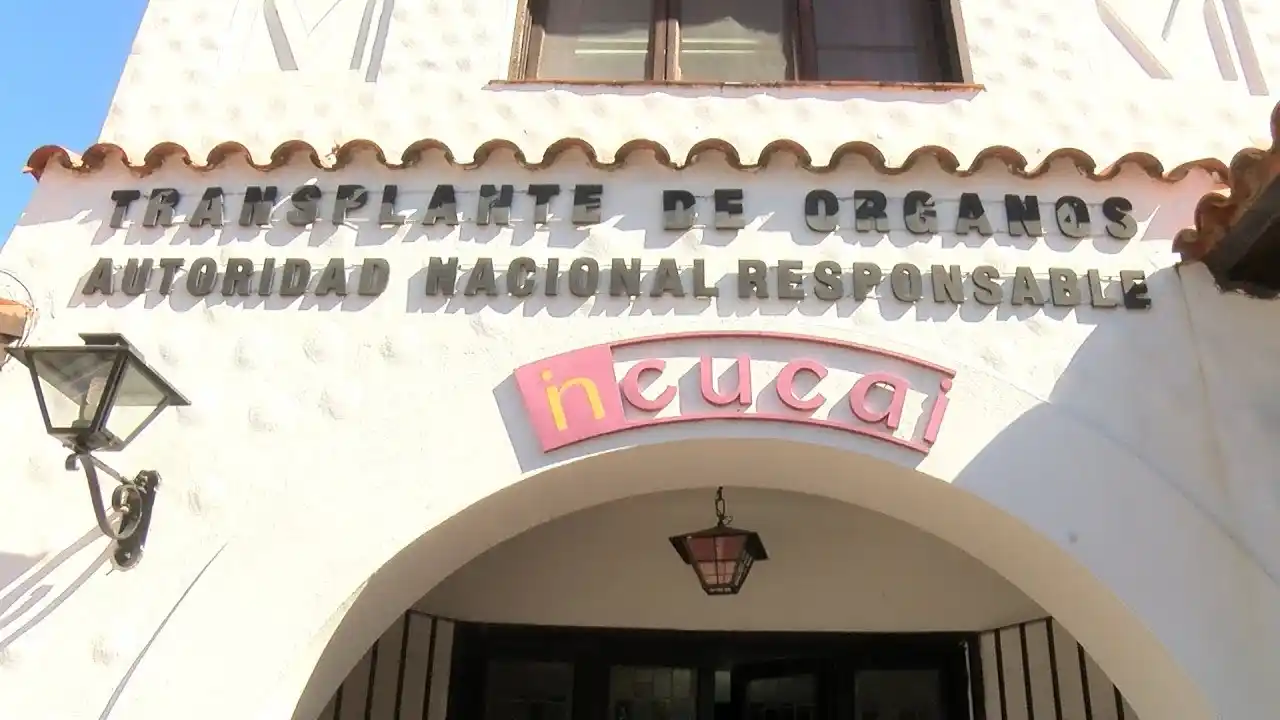 Hubo más de 1.000 trasplantes de órganos en lo que va del año
