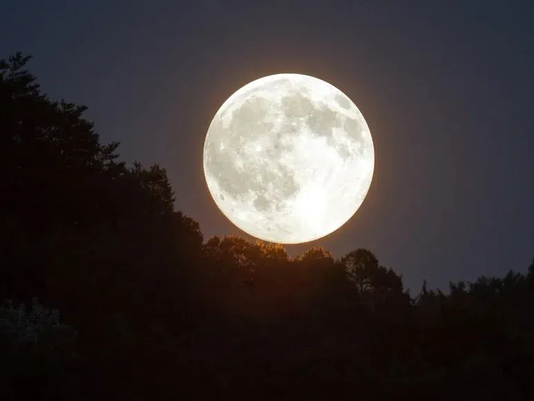 luna llena - 1