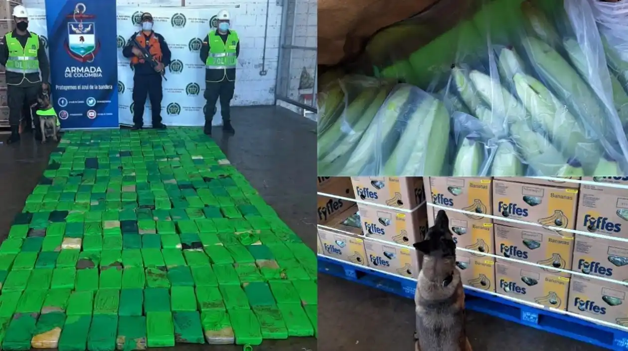 Cae una tonelada de cocaína en el puerto de Santa Marta