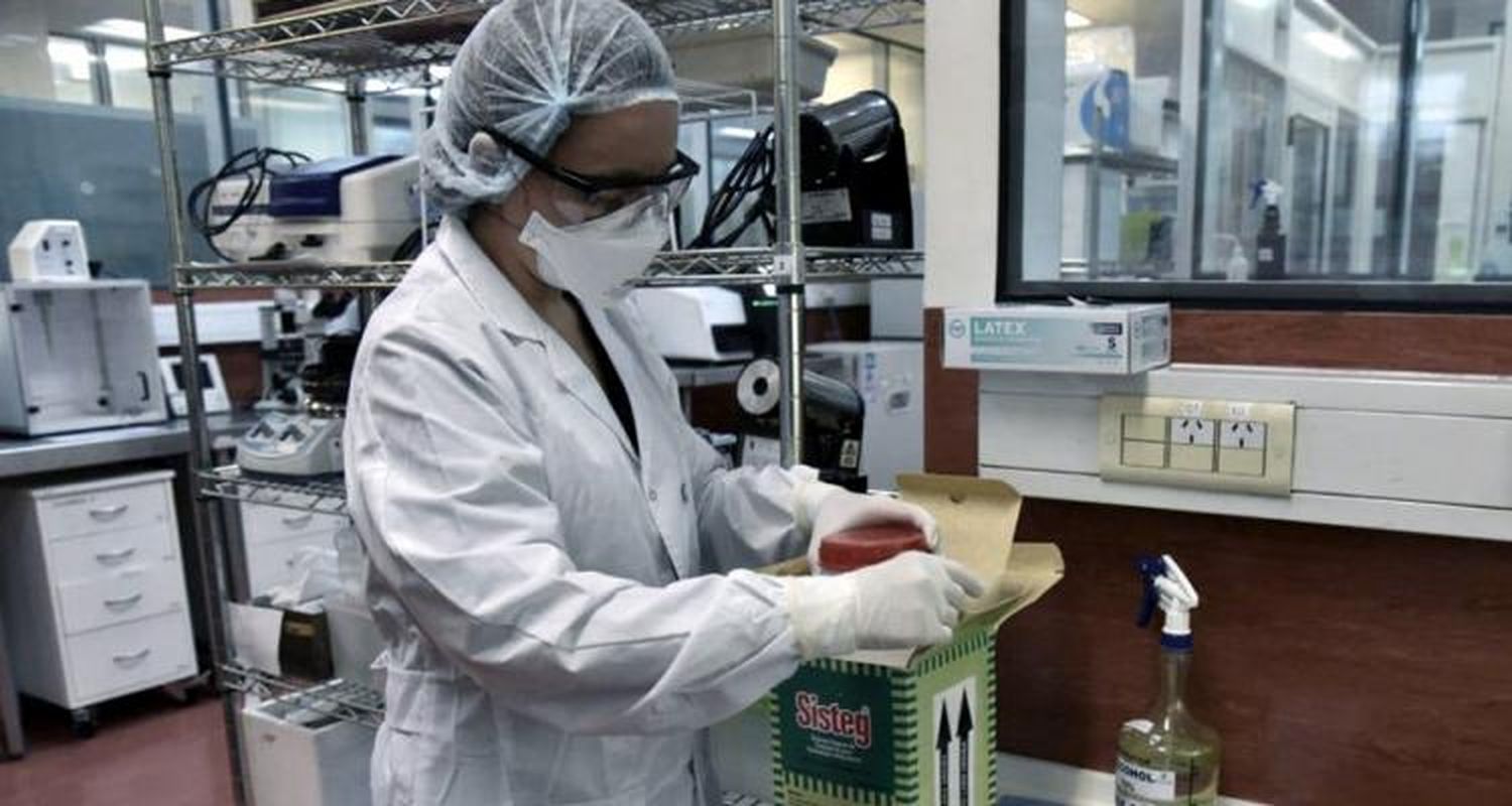 Coronavirus: domingo sin resultados de análisis para San Pedro