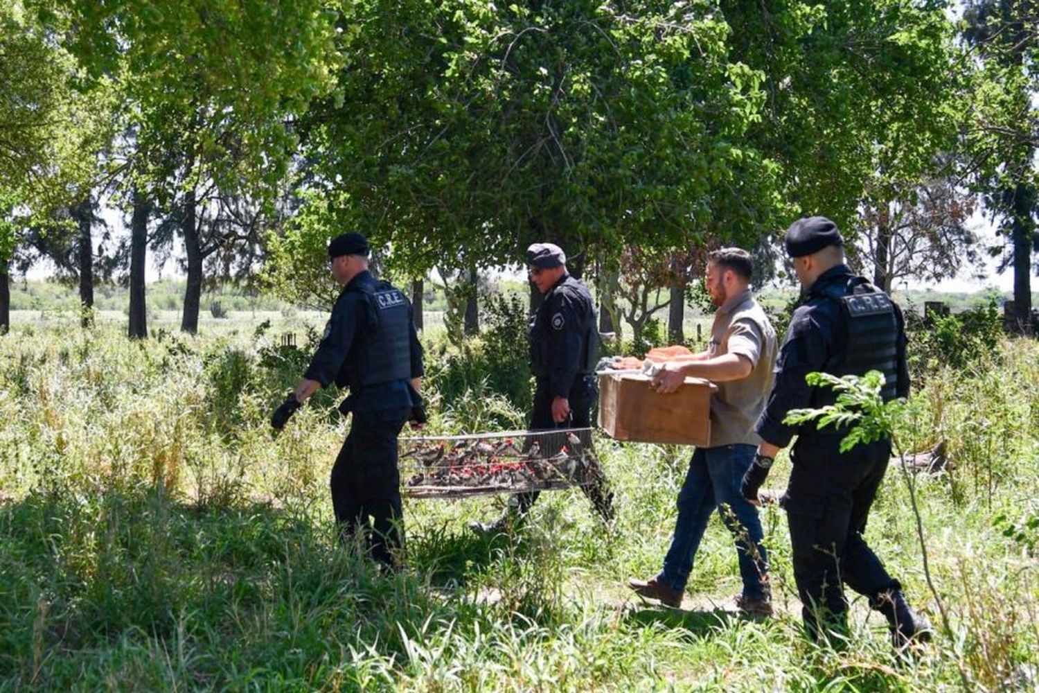 Santa Fe endurece las multas contra la caza y el comercio ilegal de fauna silvestre