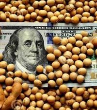 Los mercados locales en la antesala electoral