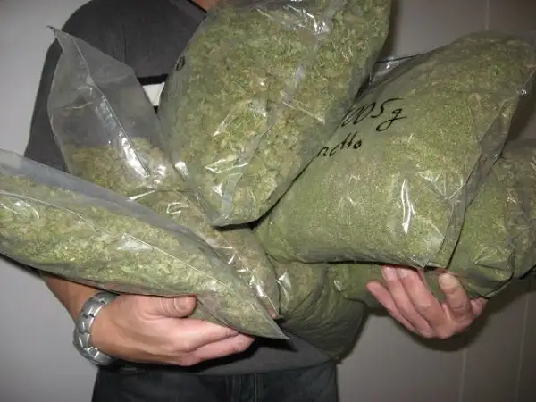 Gendarmería secuestró 132 kilos de marihuana y detuvo a siete personas
