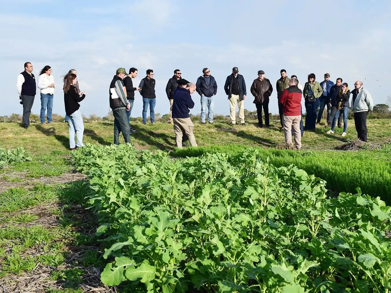 Mediante la integración pública y privada, Entre Ríos impulsa desarrollos científicos que sirvan al campo